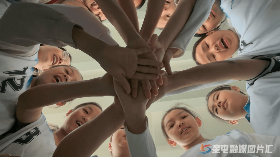 tZFf, https, data tZFf, https, data